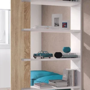 Libreria "ALIDA"